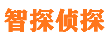 陆川智探私家侦探公司